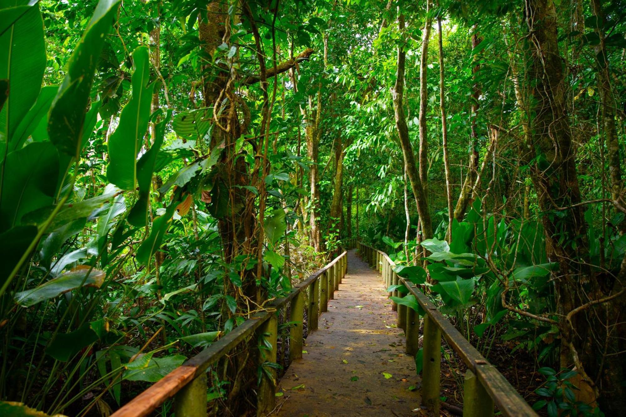 Evergreen Lodge Tortuguero Exteriör bild