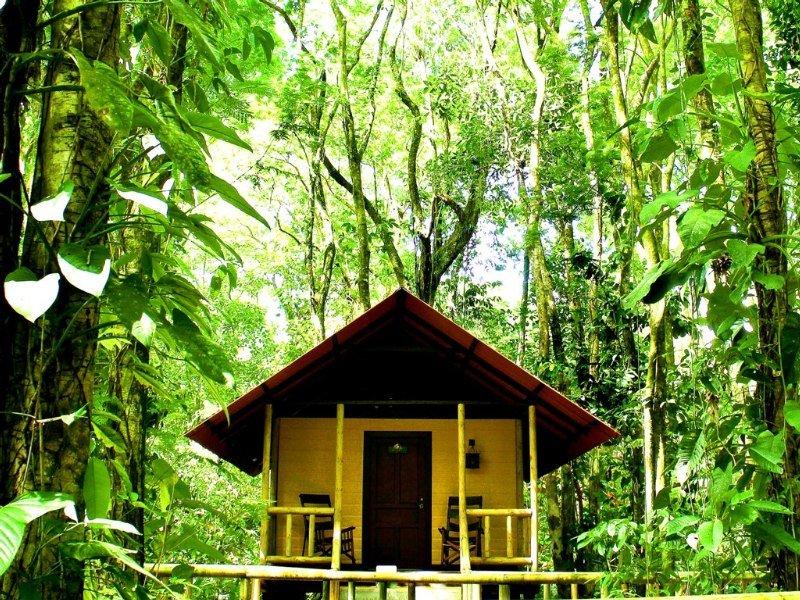 Evergreen Lodge Tortuguero Exteriör bild