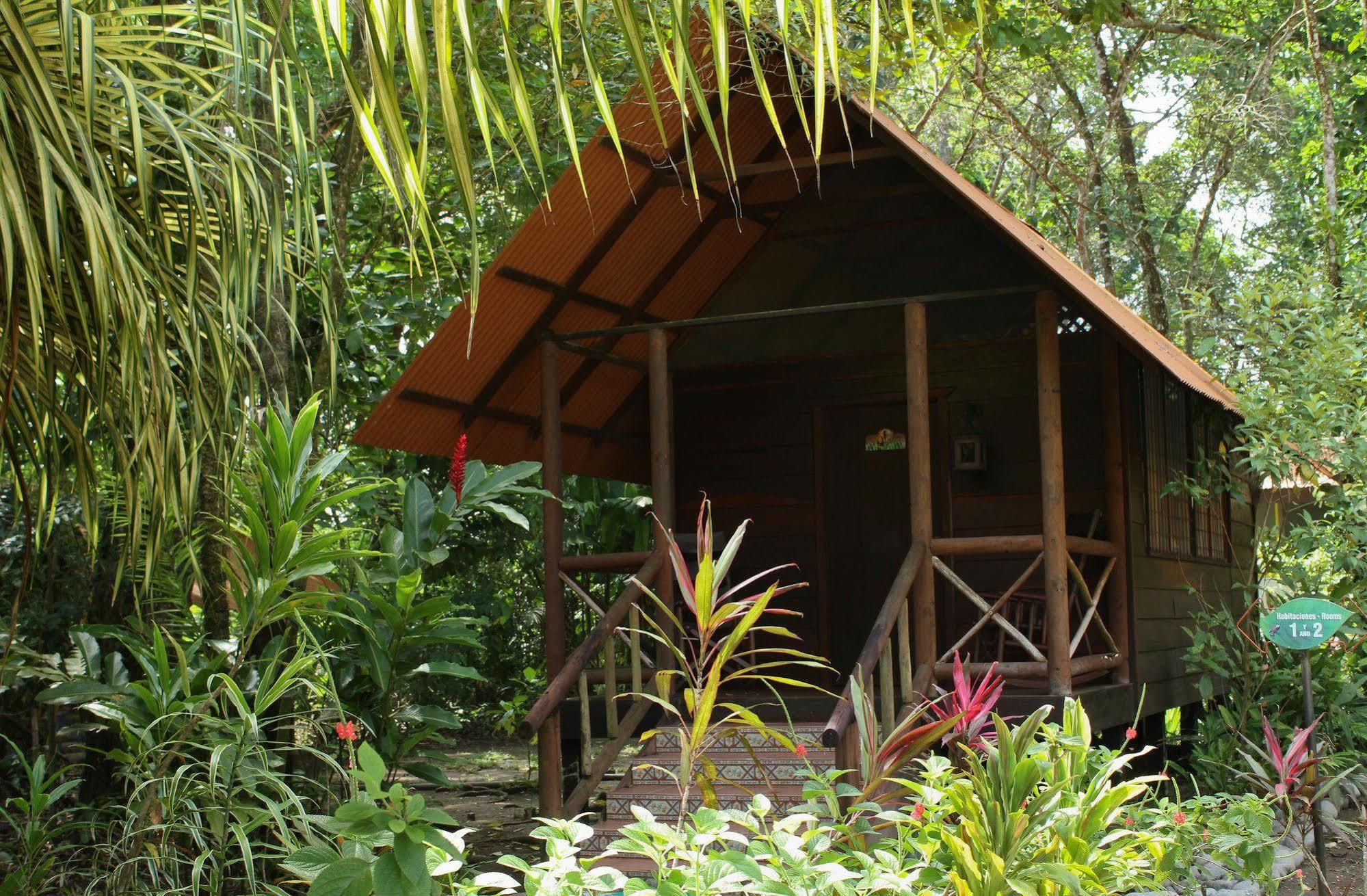 Evergreen Lodge Tortuguero Exteriör bild