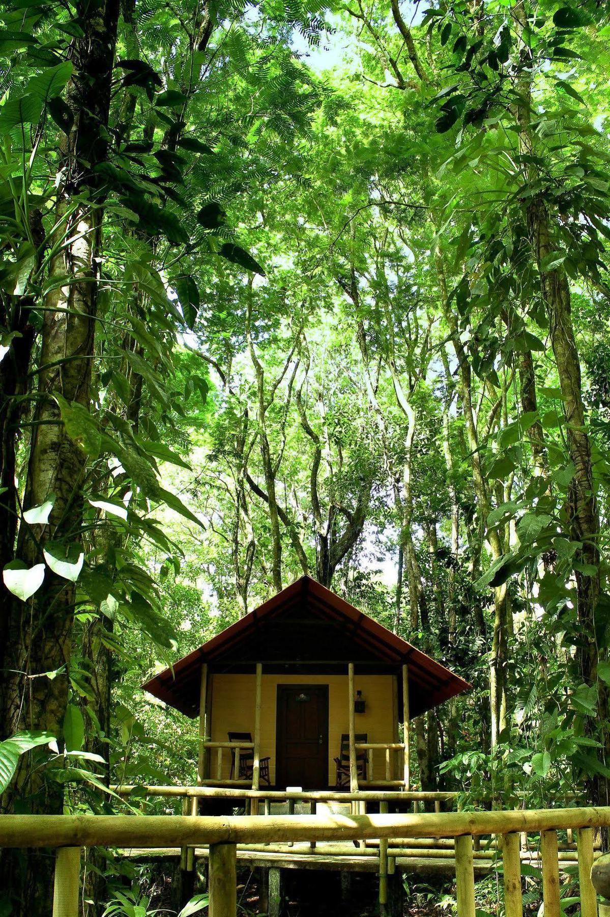 Evergreen Lodge Tortuguero Exteriör bild