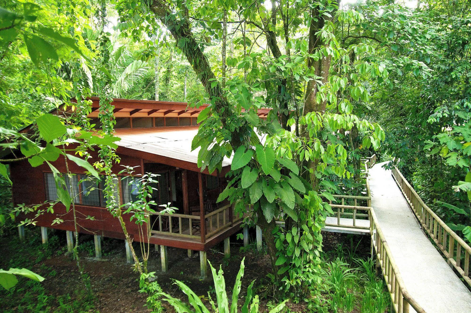 Evergreen Lodge Tortuguero Exteriör bild